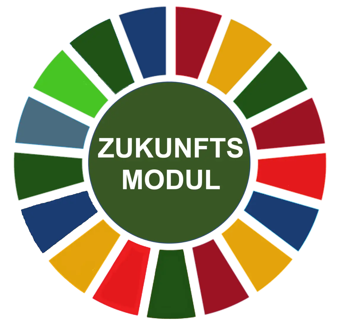 Logo Zukunftsmodul